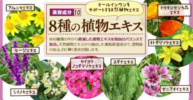 8種の厳選植物エキス